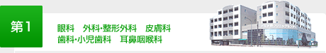 第1　内科　小児科　眼科　外科・整形外科　皮膚科　歯科・小児歯科　耳鼻咽喉科